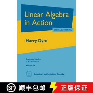 Linear 4周达 Algebra 9781470409081 Action
