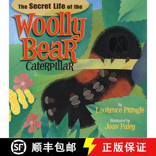 【3-4周达】精装 The Secret Life of the Woolly Bear Caterpillar [9781620910009]