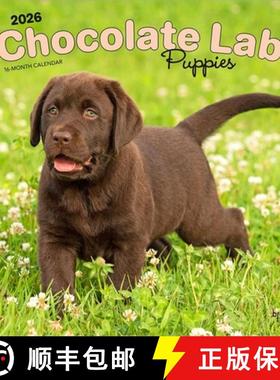 【3-4周达】Chocolate Labrador Retriever Puppies 2026 12 X 24 Inch (Hanging) Monthly Square Wall Calen... [9798330704200]