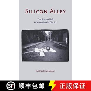 Alley and Silicon Media 9780415935715 New The 4周达 Fall Rise District