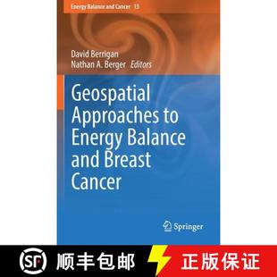 Breast 9783030184100 Geospatial Energy Balance 4周达 Approaches Cancer and