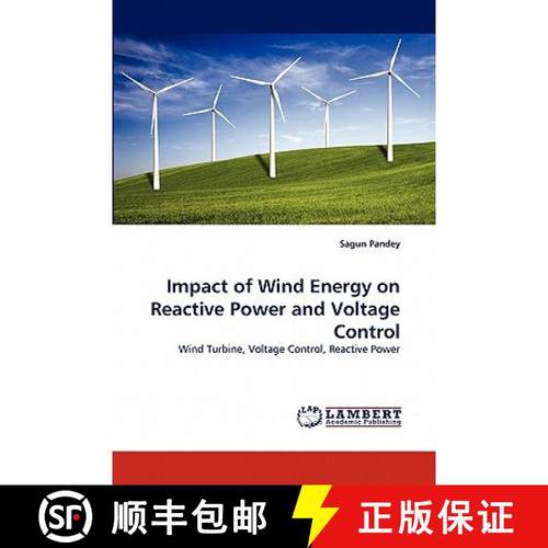 【3-4周达】Impact of Wind Energy on Reactive Power and Voltage Control [9783844304800]