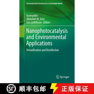 Nanophotocatalysis and Disinfection 9783030126186 Detoxification 4周达 Applications Environmental