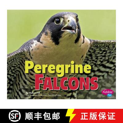 预订 Peregrine Falcons [9781491423103]