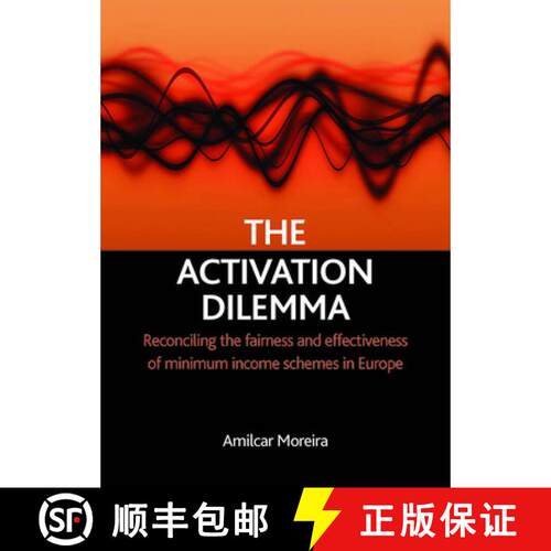 【2-3周达】精装 The activation dilemma – Reconciling the fairness and effectiveness of minimum incom... [9781847420466]