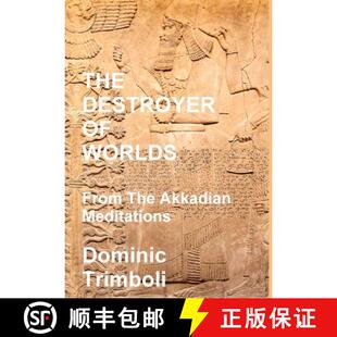 Akkadian 9781716154966 The Worlds From 3周达 Destroyer Meditations the