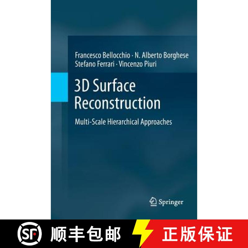 【4周达】3D Surface Reconstruction : Multi-Scale Hierarchical Approaches [9781493901173]