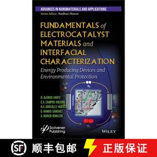 And Electrocatalyst Interfacial Produc... Fundamentals Energy 4周达 9781119460077 Characterization Materials