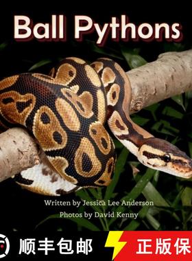 【3-4周达】Ball Pythons [9781964078311]