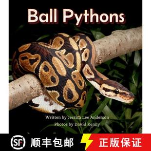 Pythons Ball 4周达 9781964078311