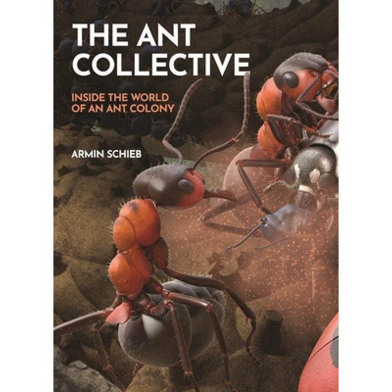 【4周达】the ant collective: inside the world of an ant colony