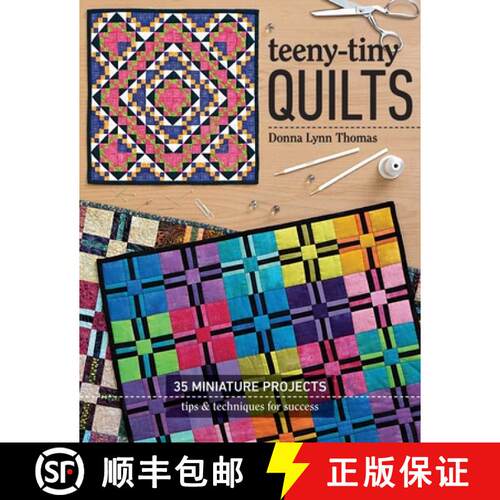 【3-4周达】Teeny-Tiny Quilts: 35 Miniature Projects - Tips & Techniques for Success [9781617456534]