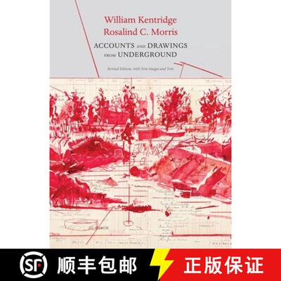【3-4周达】Accounts and Drawings from the Underground: The East Rand Proprietary Mines Cash Book [9780857428523]