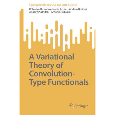 【4周达】A Variational Theory of Convolution-Type Functionals [9789819906840]