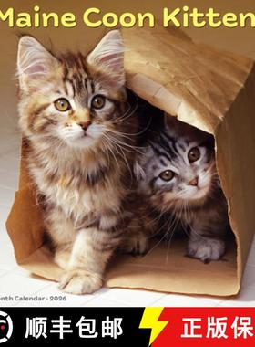 【3-4周达】Maine Coon Kittens 2026 12 X 12 Wall Calendar [9781549251856]