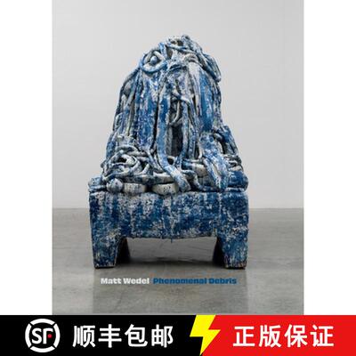 【3-4周达】Matt Wedel: Phenomenal Debris [9781646570331]