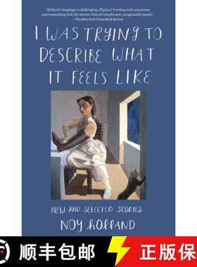预订 I Was Trying to Describe What It Feels Like: New and Selected Stories [9781619025936]