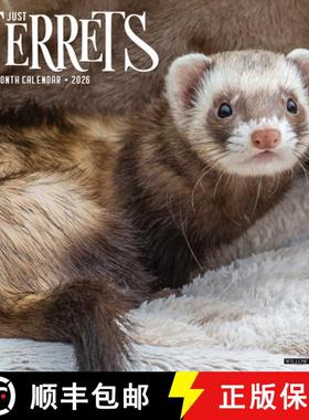 预订 Ferrets 2026 12 X 12 Wall Calendar [9781549255434]