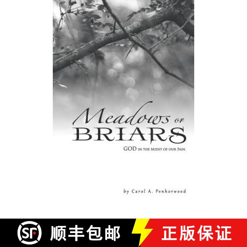 【3-4周达】Meadows or Briars: God in the Midst of Our Pain [9781973624042]