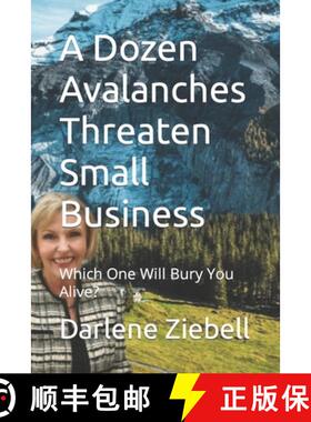 【3-4周达】A Dozen Avalanches Threaten Small Business: Which One Will Bury You Alive? [9780578764047]