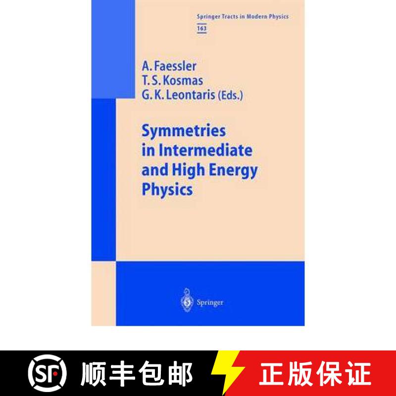 【3-4周达】Symmetries in Intermediate and High Energy Physics [9783642085994]