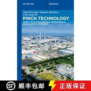 Technology Pinch Industrial 9783110786316 and Energy 4周达 Gas Oil Recycling Processes Petrochemical
