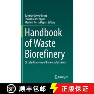 Renewable 9783031065613 Handbook Biorefinery Circular Waste 4周达 Energy Economy