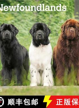 【3-4周达】Newfoundlands 2026 12 X 24 Inch (Hanging) Monthly Square Wall Calendar Plastic-Free [9798330704903]
