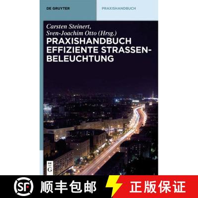 【3-4周达】Praxishandbuch effiziente Strassenbeleuchtung [9783110287875]