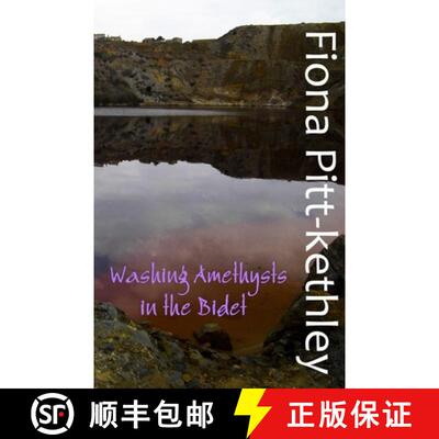 【3-4周达】Washing Amethysts in the Bidet [9781912777365]