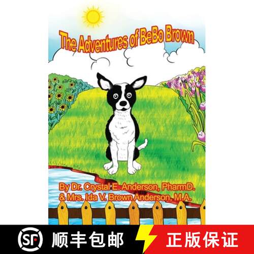【3-4周达】The Adventures of Bebo [9781943382132]