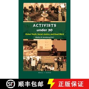 Activists 9789004377172 Work Social 4周达 Justice Under Good Global and Youth