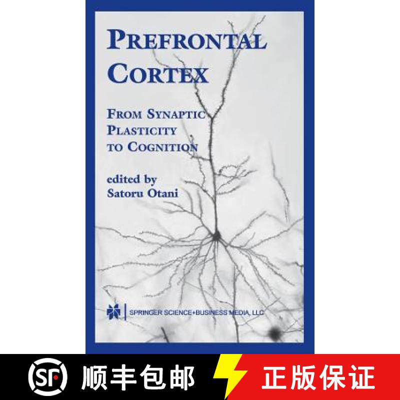 【3-4周达】Prefrontal Cortex : From Synaptic Plasticity to Cognition [9781441954350]