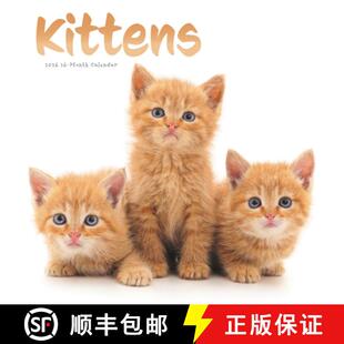 【3-4周达】Kittens Square Wall Sunday Start Calenda [9781529851748]