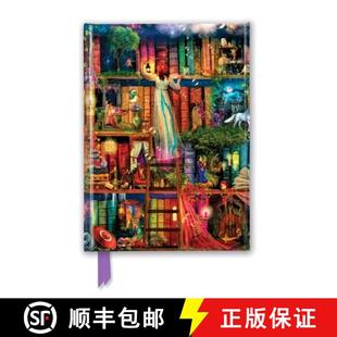 Hunt 9781787550339 4周达 Journal Foiled Bookshelves Treasure Stewart Aimee