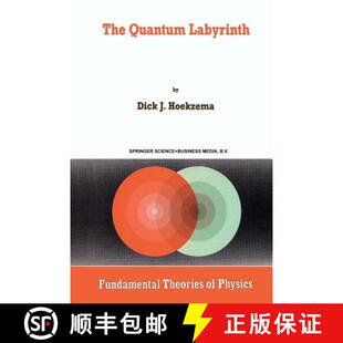 Labyrinth 4周达 Quantum 9789401047814 The