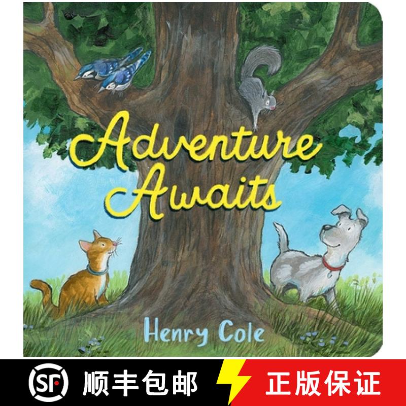 【3-4周达】Adventure Awaits [9781665902908]