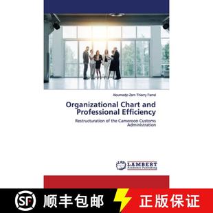 and Chart Professional Efficiency 预订 9786139452194 Organizational