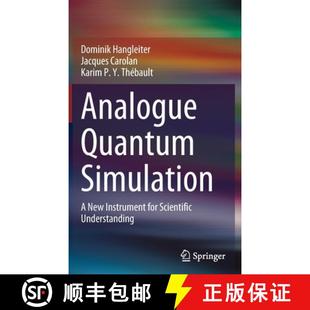 New Simulation Instrument Understanding Analogue Scientific 4周达 9783030872151 Quantum for