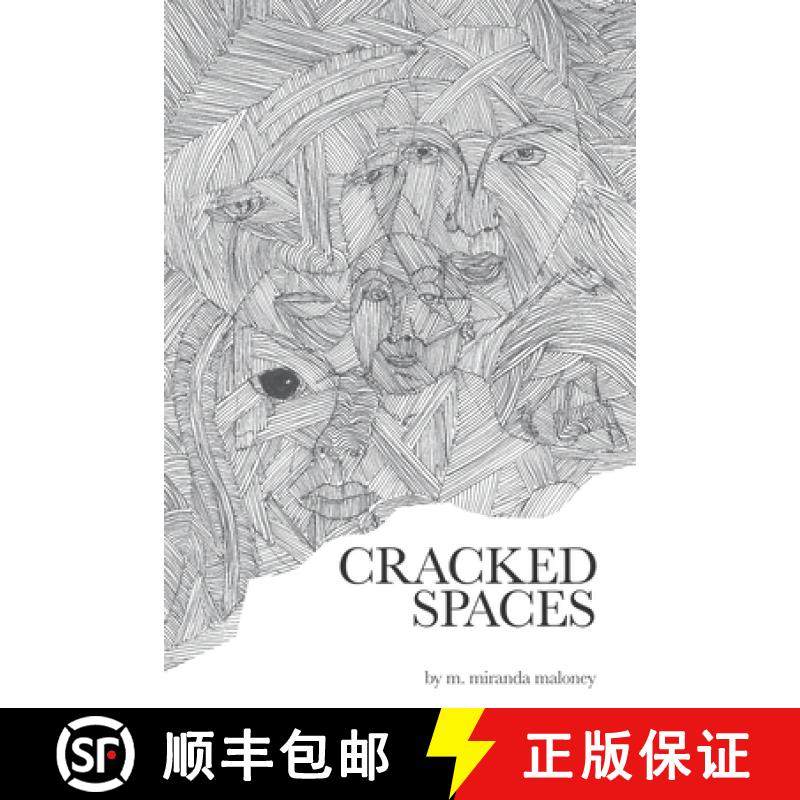 【3-4周达】Cracked Spaces [9781940856445]