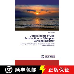 Ethiopian 9786200297891 Industry Banking Satisfaction Job Determinants 预订