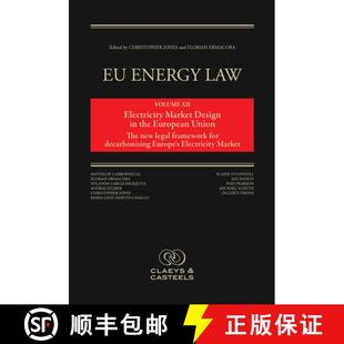 Electricity European Market Design Energy Volume 9789077644690 The... Law XII the Union 4周达