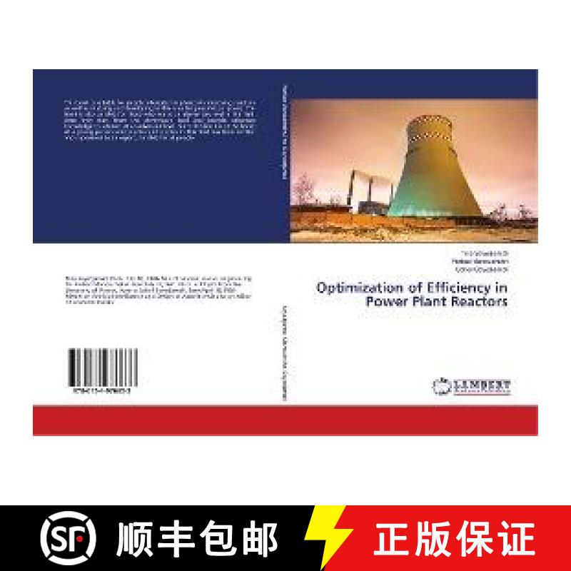预订 Optimization of Efficiency in Power Plant Reactors [9786134976633]
