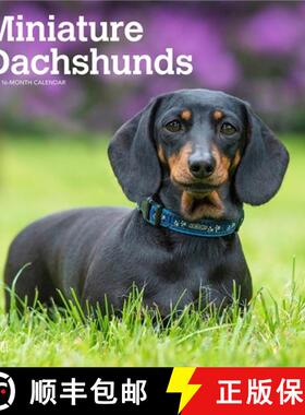 【3-4周达】Miniature Dachshunds 2026 12 X 24 Inch (Hanging) Monthly Square Wall Calendar Plastic-Free [9798330703135]