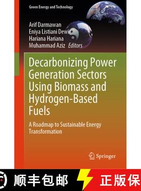 【3-4周达】Decarbonizing Power Generation Sectors Using Biomass and Hydrogen-Based Fuels: A Roadmap t... [9789819793594]