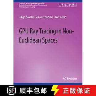 9783031792007 4周达 Spaces Euclidean Non Tracing Ray Gpu
