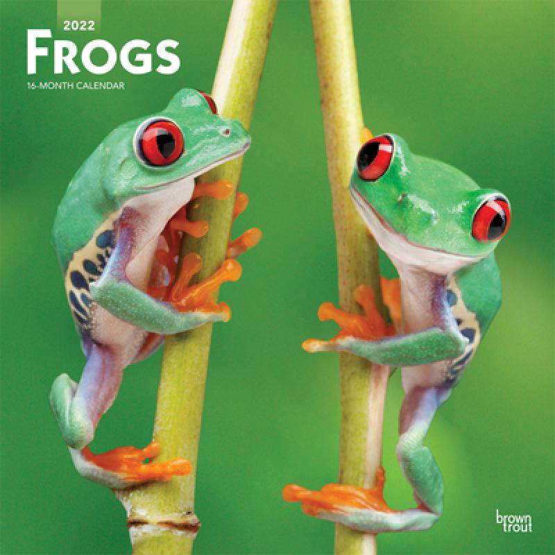 预订 frogs 2022 square [9781975444907]