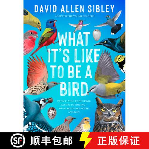 【3-4周达】精装 What It's Like to Be a Bird (Adapted for Young Readers): From Flying to Nesting, Eati... [9780593430194]
