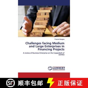 Projects Medium Enterprises Large facing and 9786200118042 预订 Financing Challenges