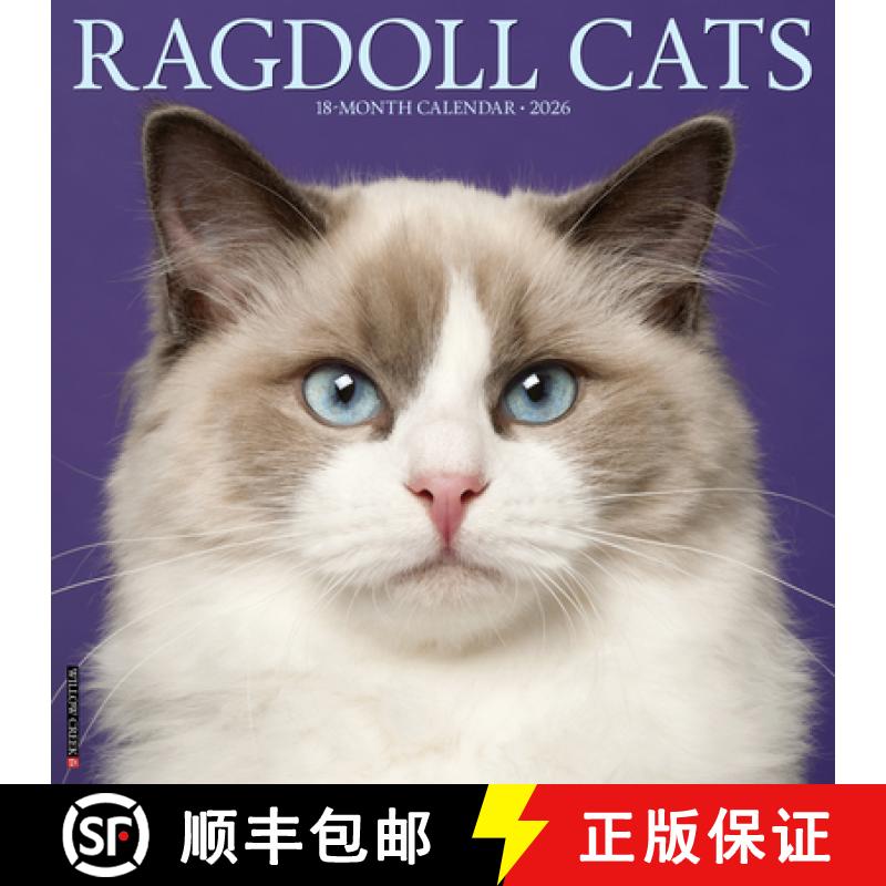 【2-3周达】Ragdoll Cats 2026 12 X 12 Wall Calendar [9781549252549]